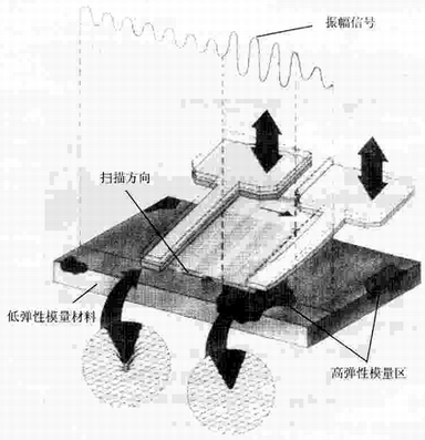 原子力显微镜力调制成像示意图